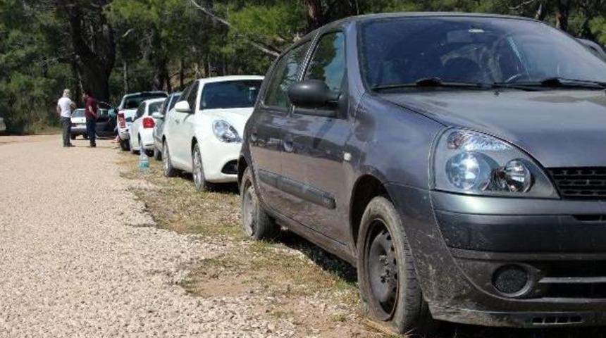 Kamp&ccedil;ıların 26 Aracının Lastikleri Kesildi