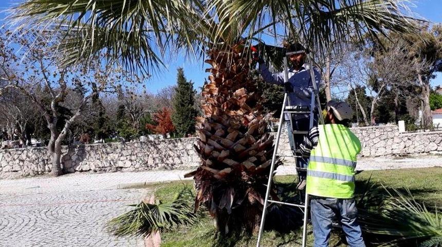 Ala&ccedil;atı&rsquo;da Ot Festivali Hazırlığı