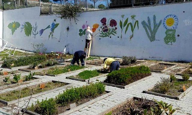 Alaçatı’da Ot Festivali Hazırlığı