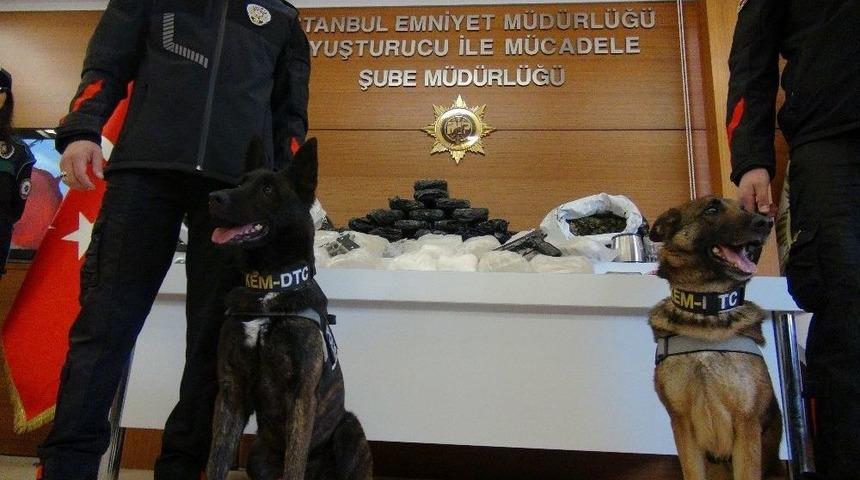 Maya Ve Fırtına İsimli K&ouml;pekler, Beton Kolonların Arasındaki Uyuşturucuyu Buldu