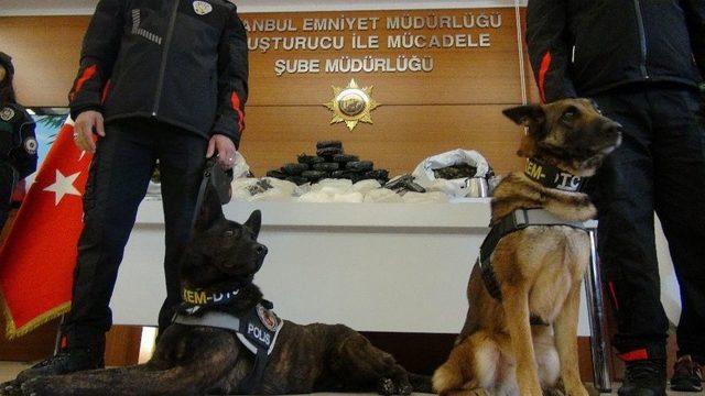 Maya Ve Fırtına İsimli Köpekler, Beton Kolonların Arasındaki Uyuşturucuyu Buldu