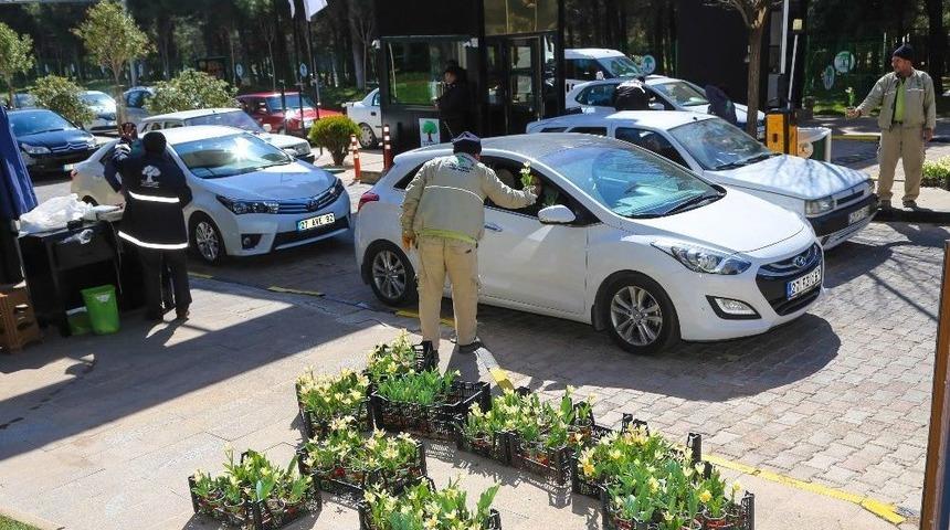 D&uuml;l&uuml;k Ziyaret&ccedil;ilerine Lale Armağanı