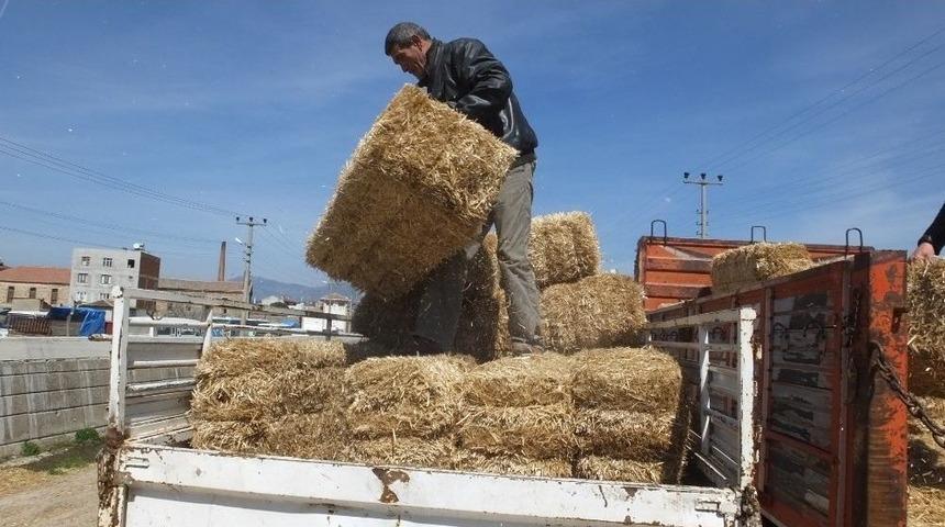 Havran&rsquo;da Saman Fiyatları Arttı