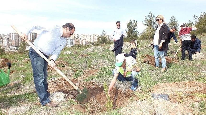 15 Temmuz Şehitleri İ&ccedil;in Hatıra Ormanı Oluşturuldu