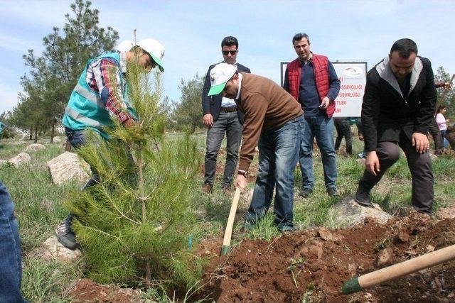 15 Temmuz Şehitleri İçin Hatıra Ormanı Oluşturuldu