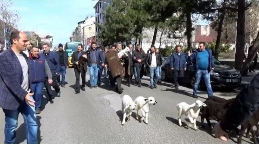 T&uuml;rk&uuml;c&uuml; Aydın Aydın, Kepenek Giydi, Bing&ouml;l Sokaklarında T&uuml;rk&uuml; S&ouml;yledi