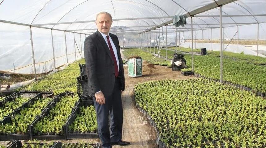 Didim&rsquo;in Tıbbi Aromatik Serası Eco Tropha 2017&rsquo; Proje Yarışmasında