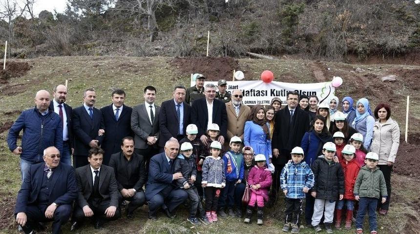 G&uuml;m&uuml;şhane&rsquo;de Orman Haftası Kutlamaları