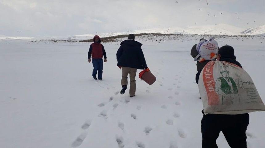 Kars&rsquo;ta Kuşlara Yem Bırakıldı