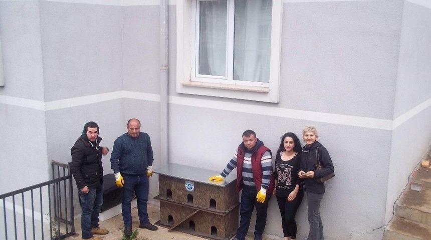 Sokak Hayvanları Barınaklarına Kavuştu