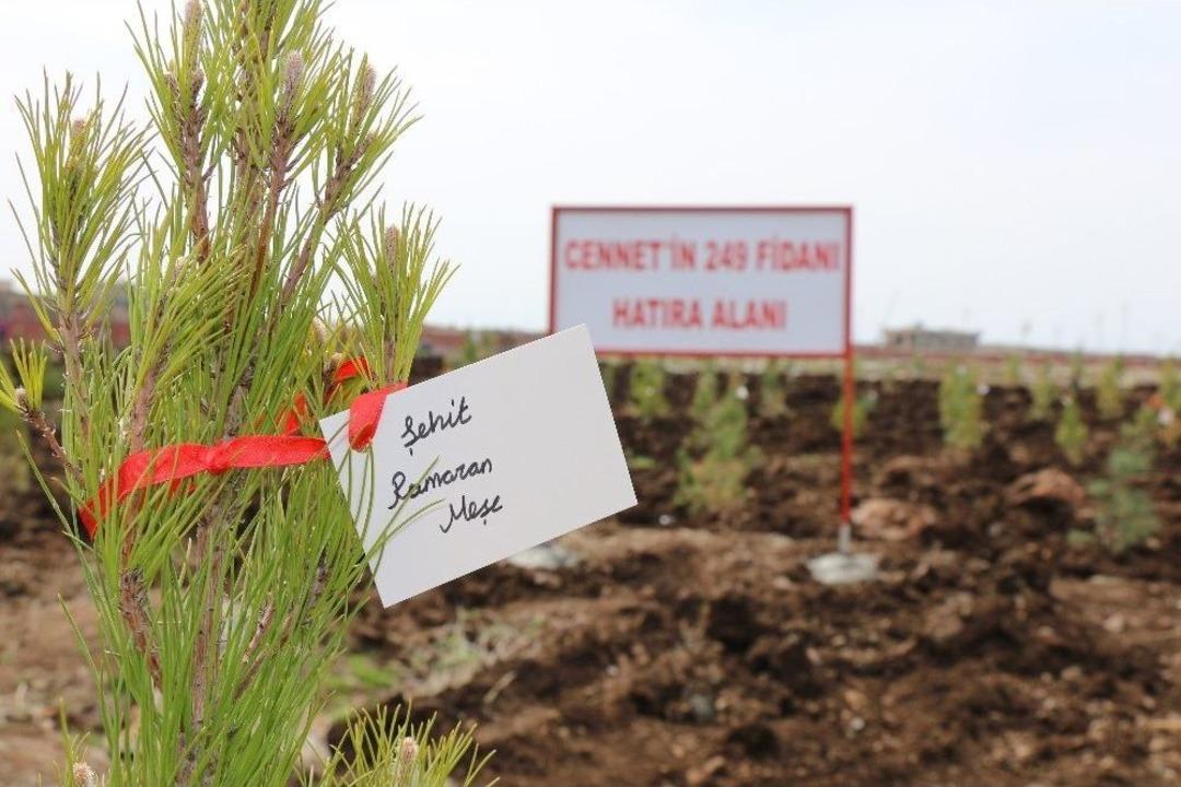 15 Temmuz Şehitleri İ&ccedil;in Fidan Dikildi
