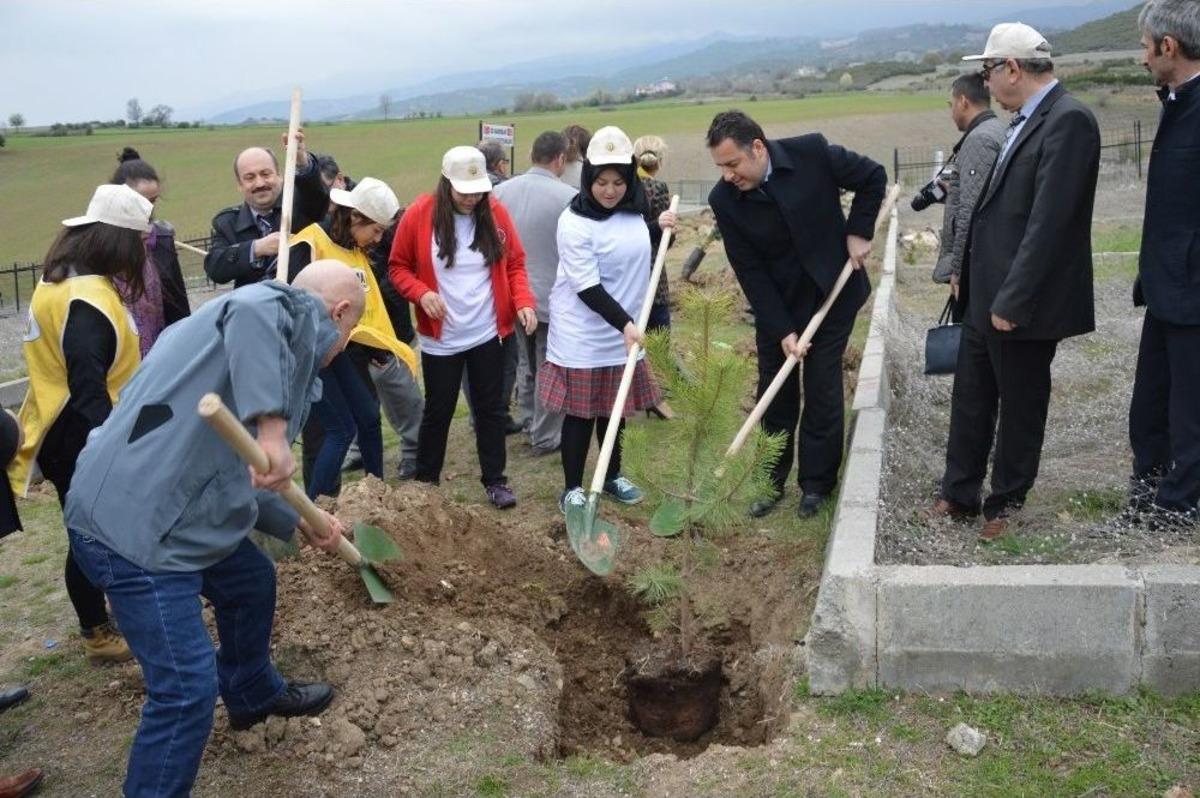 Niksar&rsquo;da Fidan Dikme Etkinliği