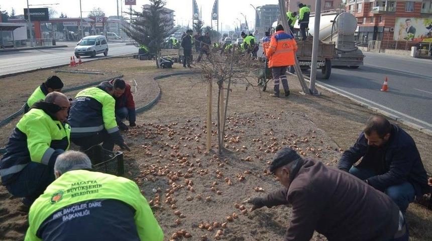 Malatya &Ccedil;i&ccedil;eklerle Renkleniyor