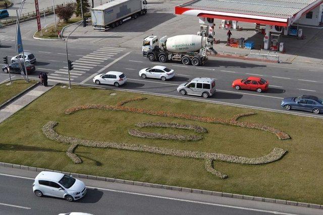 Malatya Çiçeklerle Renkleniyor