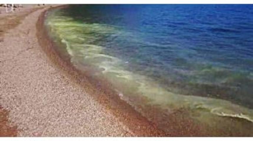 Marmaris&rsquo;te Polen Tozu Denizi Sarıya Boyadı