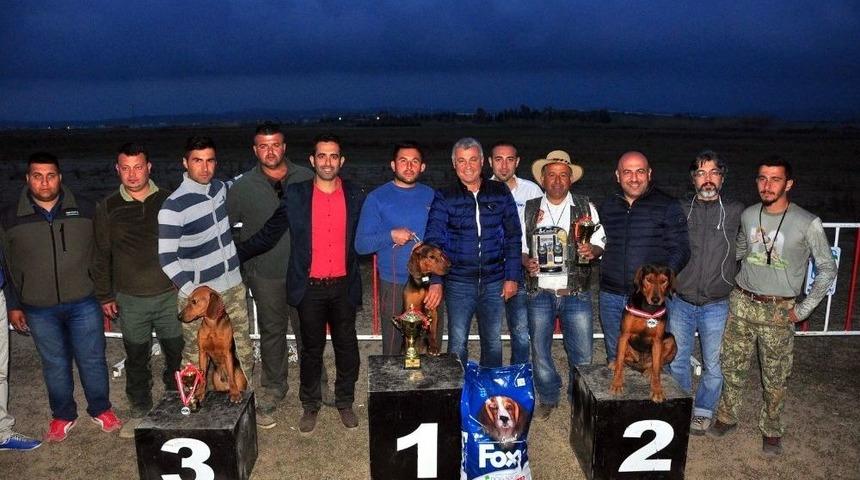 Manavgat&rsquo;ta Av K&ouml;pekleri Kıyasıya Yarıştı