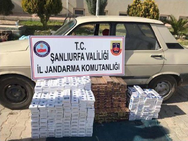 Akçakale de Kaçak Sigaraya 10 Gözaltı 1