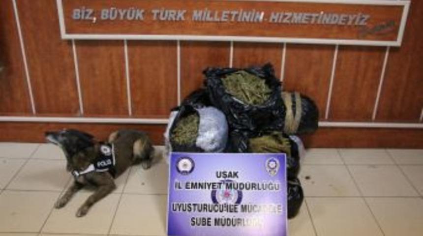 Uşak&rsquo;ta 49 Kilo 800 Gram Esrar Yakalandı