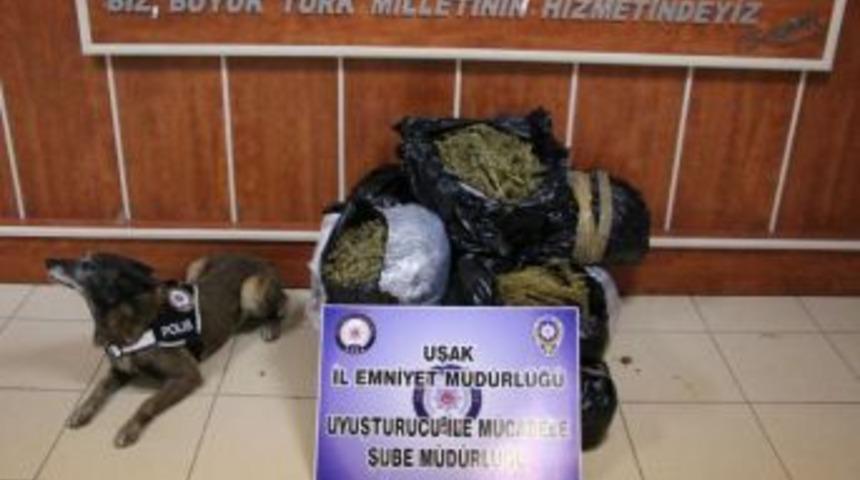 Uşak'ta 49 Kilo 800 Gram Esrar Ele Ge&ccedil;irildi
