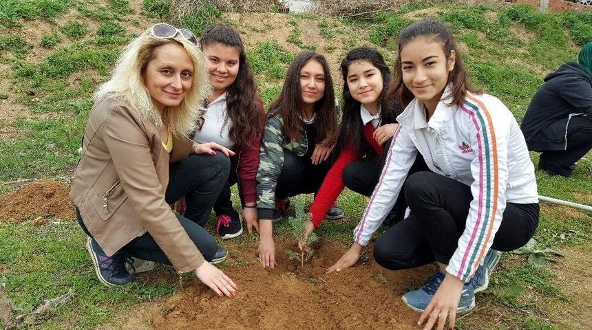 Fidanlar, Daha Yeşil Bir Okul İ&ccedil;in Dikildi