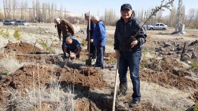 Bünyan Dostları 250 Fidanı Toprakla Buluşturdu