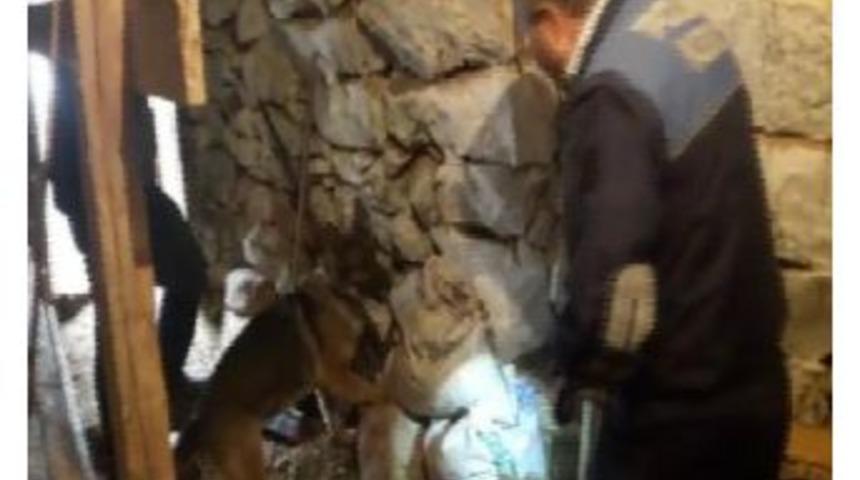 Ahırda Uyuşturucu Operasyonu: 3 G&ouml;zaltı