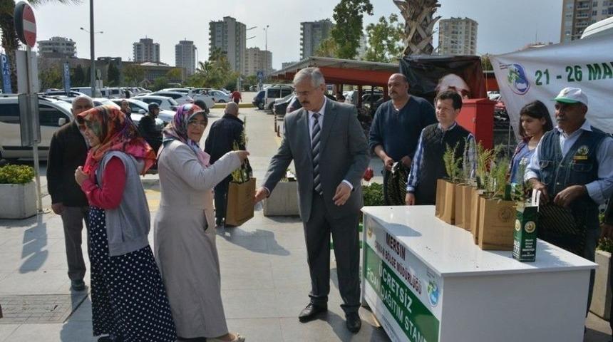 Y&uuml;zlerce Fidan &Uuml;cretsiz Dağıtıldı