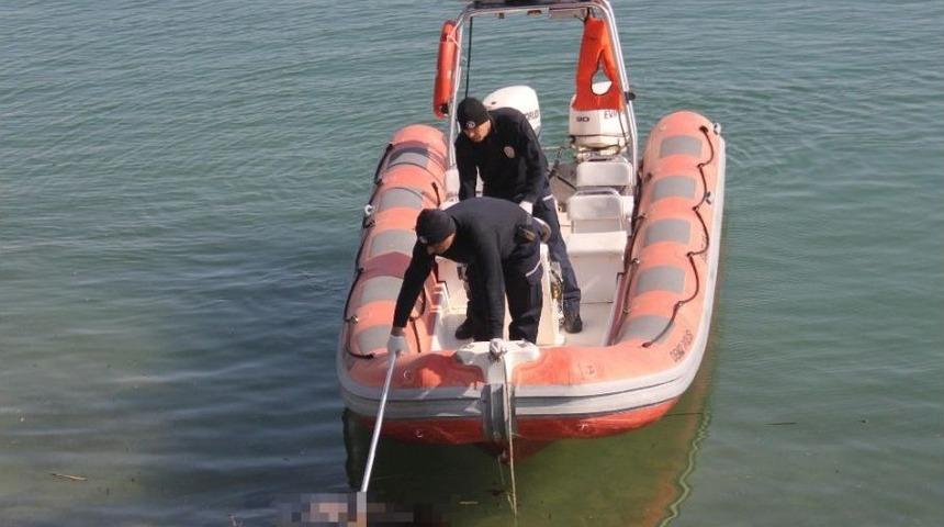 G&ouml;lde Kadın Cesedi Bulundu