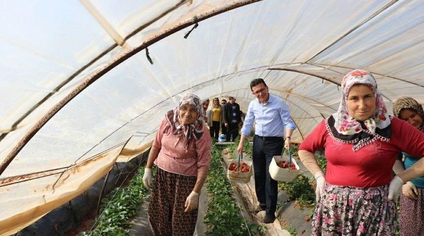 Halk Oylamasına Doğru