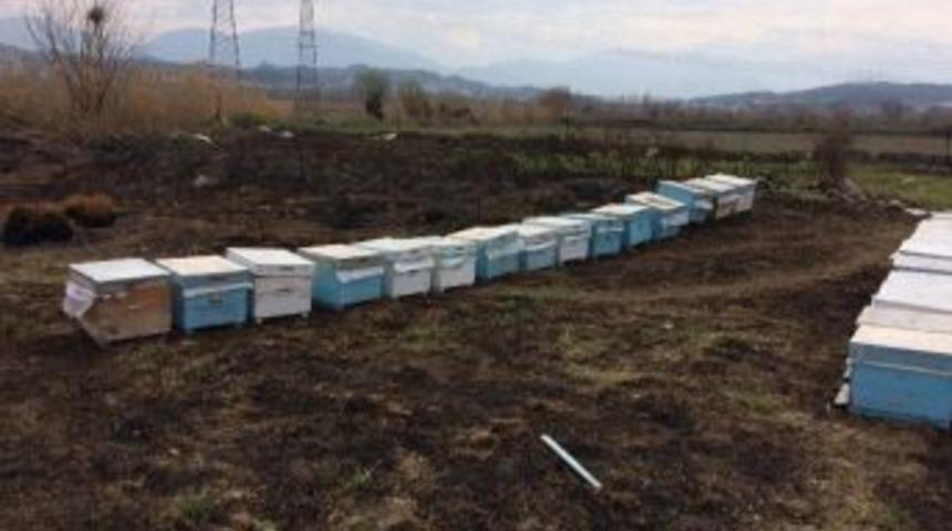 Arı Kovanlarını &Ccedil;alan Hırsızlar Tutuklandı