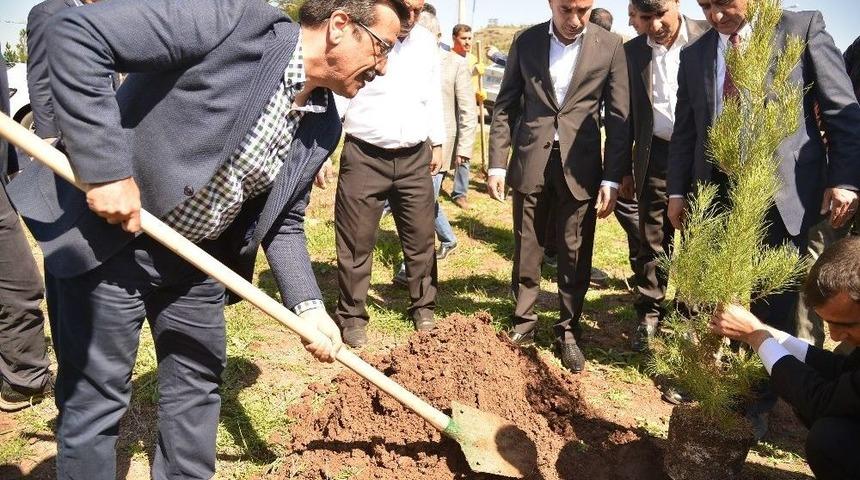 Başkan Atilla, 15 Temmuz Şehitleri Anısına Fidan Dikti