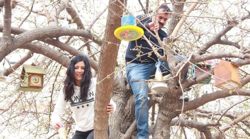 Anasınıfı &Ouml;ğrencilerinden &lsquo;kuş Kafesi&rsquo; Projesi