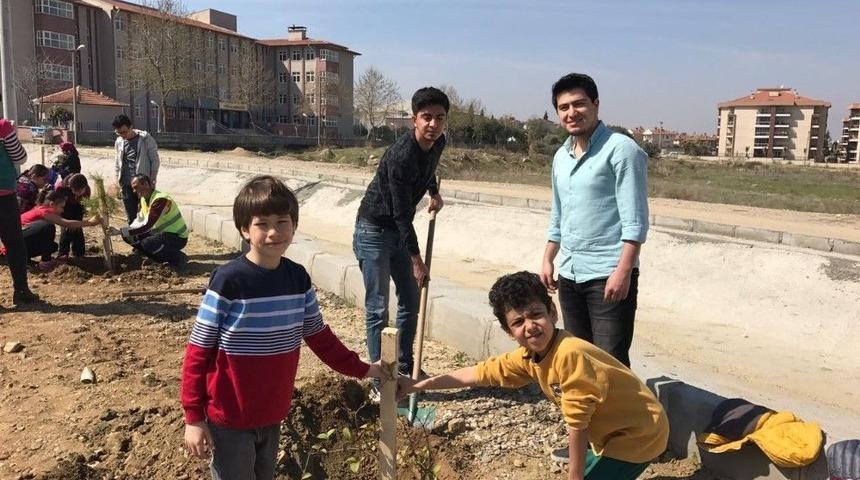 Minikler, Gen&ccedil;lerle Birlikte Fidan Dikti