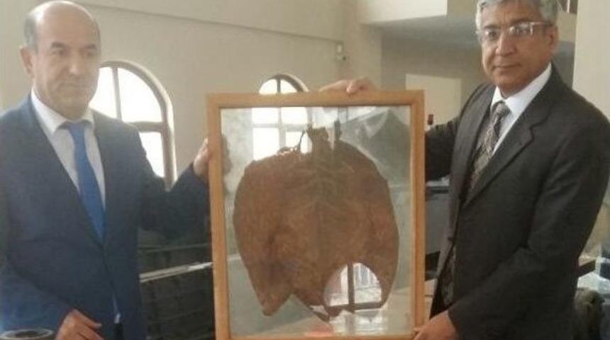 Kaymakam Kubalı, Tütün Müzesi’ni İnceledi