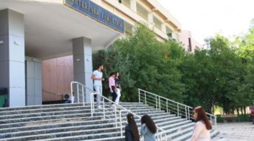 D&uuml;&rsquo;de Veteriner Histoloji Ve Embriyoloji Tezli Y&uuml;ksek Lisans Programı A&ccedil;ıldı