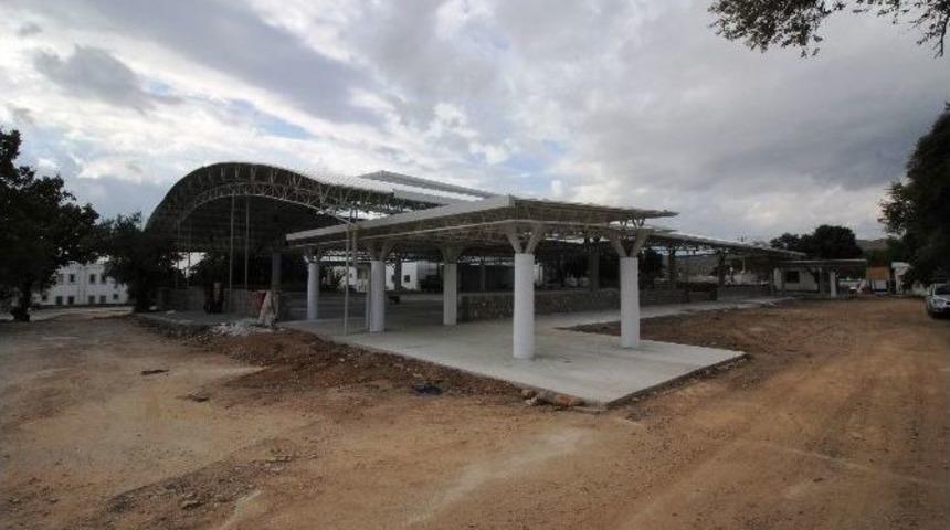 Bitez, Yeni Pazar Yerine Kavuşuyor