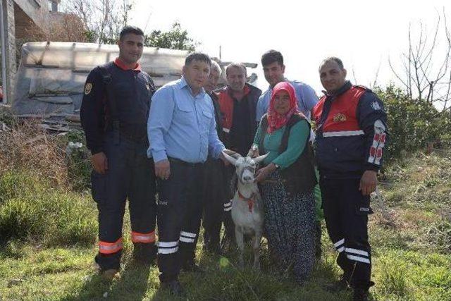 İtfaiye, Kuyuya Düşen Gebe Keçiyi Kurtardı