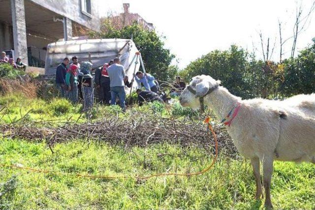 İtfaiye, Kuyuya Düşen Gebe Keçiyi Kurtardı