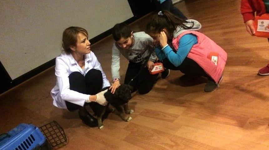 K&uuml;&ccedil;&uuml;k &Ccedil;ınarlara Hayvan Sevgisi Anlatıldı