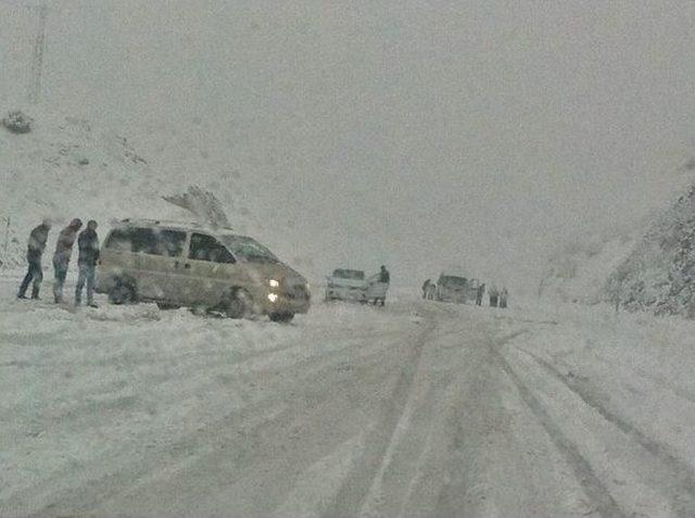 Bingöl’e Kar Yağdı, Araçlar Yolda Kaldı