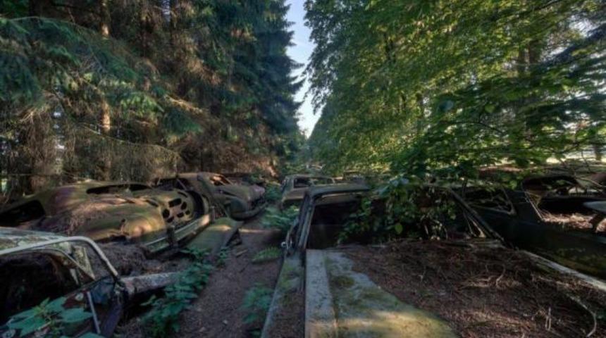 Ormanda terk edilmiş b&uuml;y&uuml;k hazine
