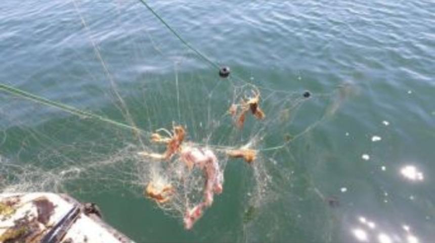 G&ouml;le Ka&ccedil;ak Atılan Ağlara El Konuldu