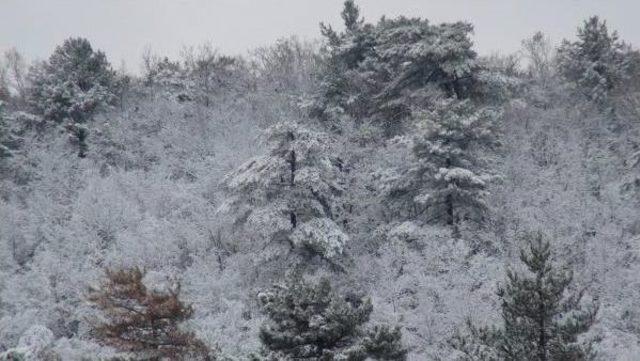 Çanakkale'de Kar Manzaraları