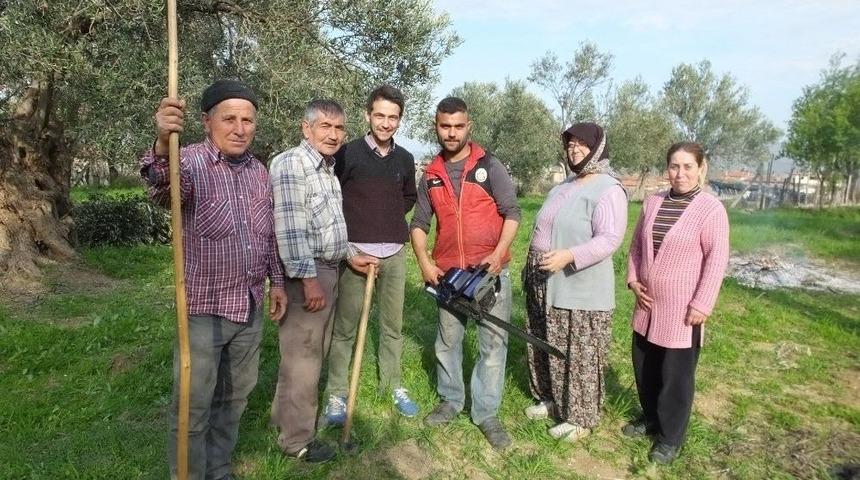 Zeytinlerde Budama Zamanı