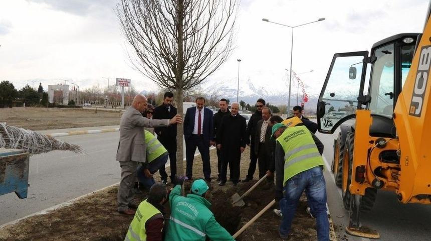 Erzincan Belediyesi Ağa&ccedil;landırma &Ccedil;alışmalarına Devam Ediyor