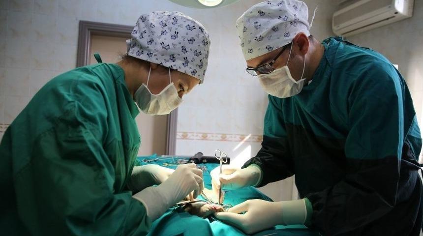 Nil&uuml;fer&rsquo;den Can Dostlarına Beş Yıldızlı Sağlık Hizmeti