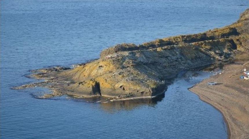 G&ouml;ren Timsah Sanıyor