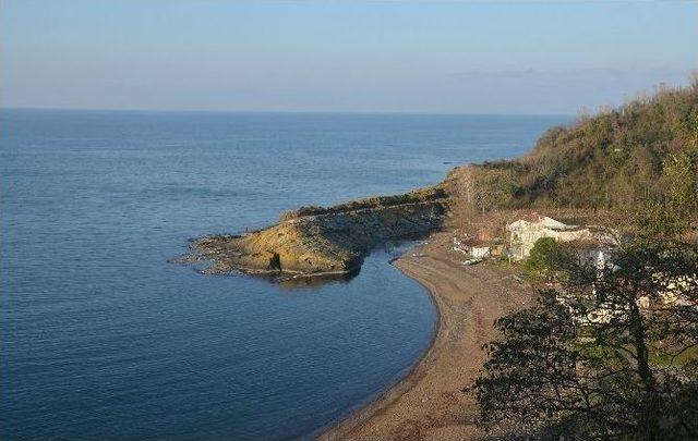 Gören Timsah Sanıyor 1