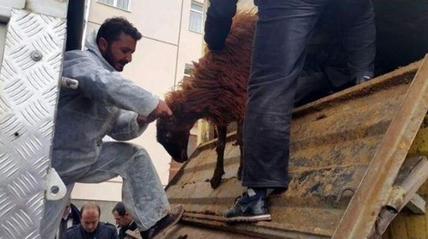 Gen&ccedil; &Ccedil;ift&ccedil;i Destekleri Devam Ediyor