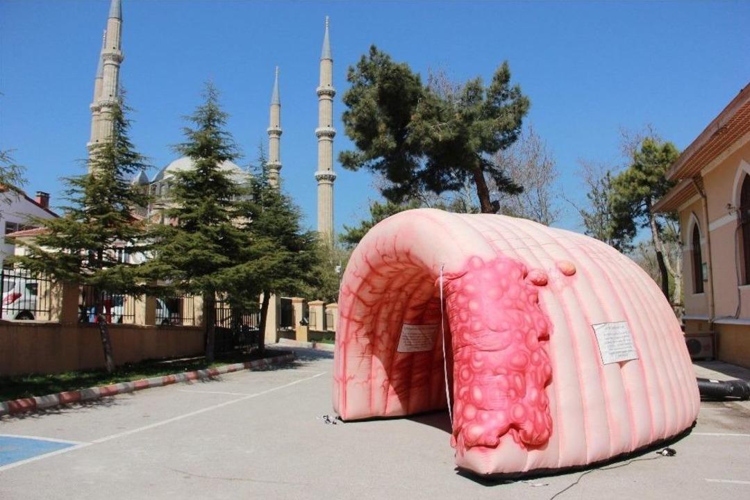 T&uuml;rk Gastroenteroloji Derneği&rsquo;nden &lsquo;farkında Ol, Ge&ccedil; Kalma&rsquo; Hareketi